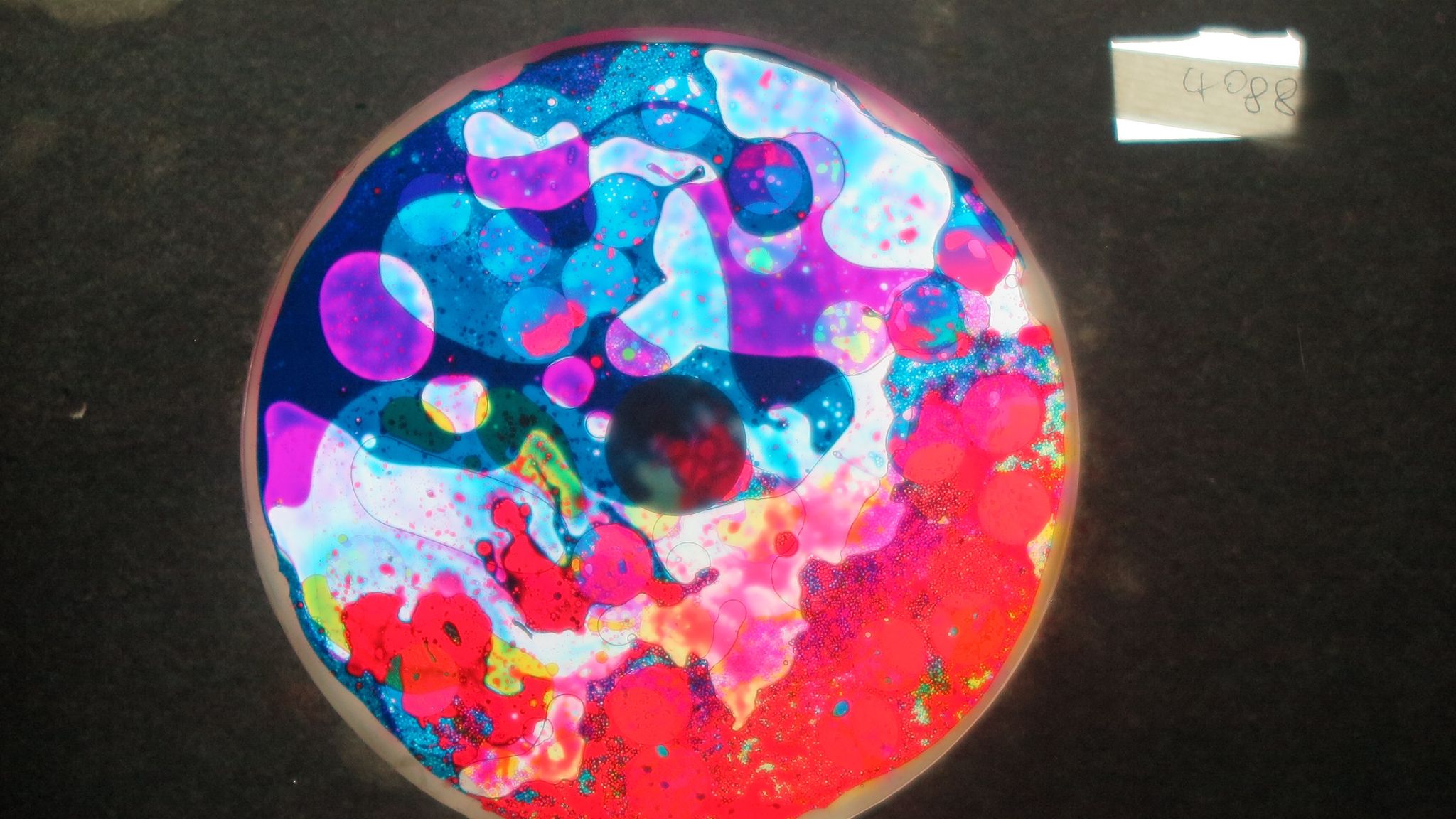 BV4088 bubble vision oil wheel